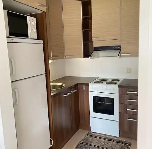 아파트 Viihtyisae Itsepalvelumajoitus, Tilava Saunallinen Yksioe Ylihärmä